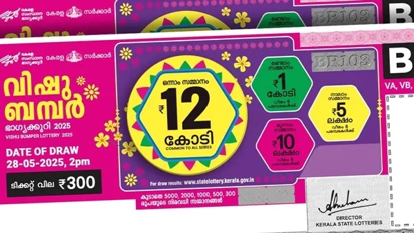 vishubumper- vishubumper-