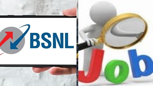 bsnljob2-1