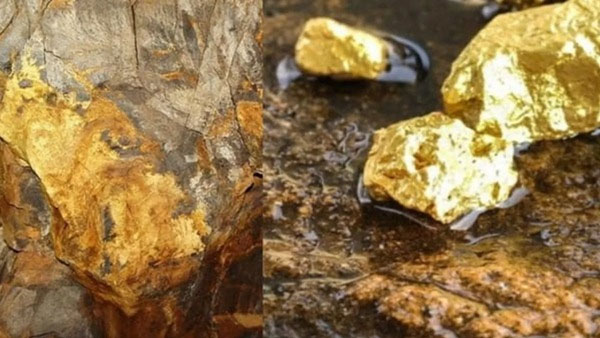 Gold Mining