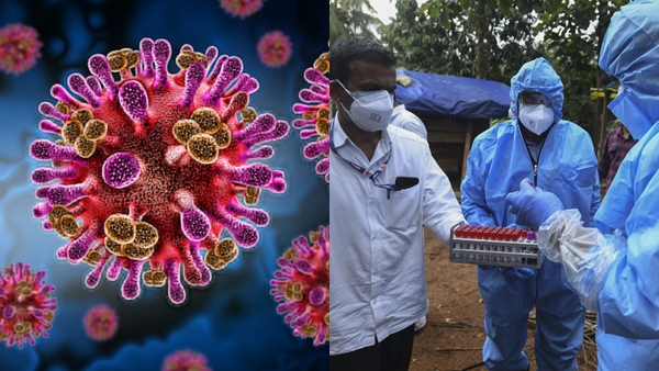 kozhikode-nipah-1781114865 jpg kozhikode-nipah-1781114865 jpg