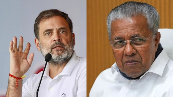rahul-gandhi-1781271556 jpg rahul-gandhi-1781271556 jpg