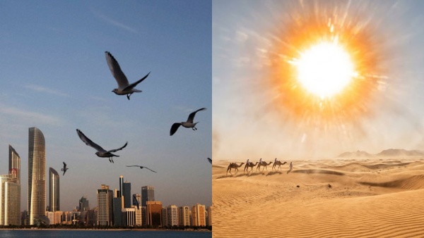 uae