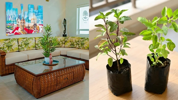vastu-approved-1781378461 jpg vastu-approved-1781378461 jpg