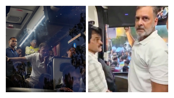 Rahul