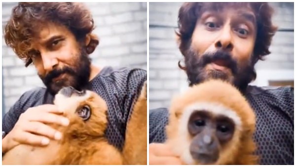 chiyaan vikram video with lar gibbon goes viral chiyaan vikram video with lar gibbon goes viral