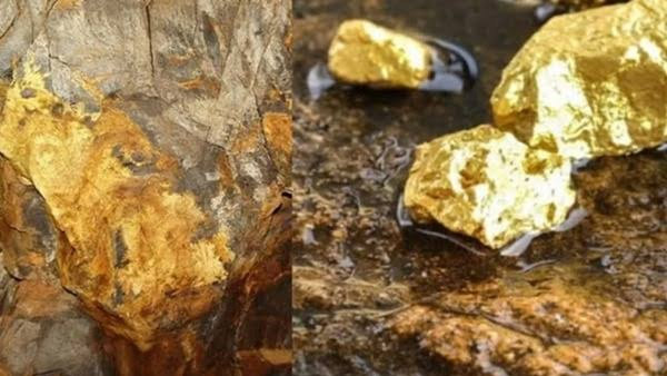 Gold Reserve
