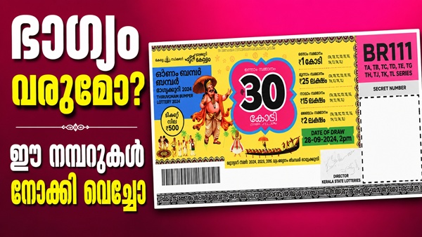 onambumper3- onambumper3-