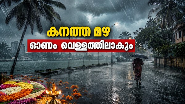 onamrain2-8735