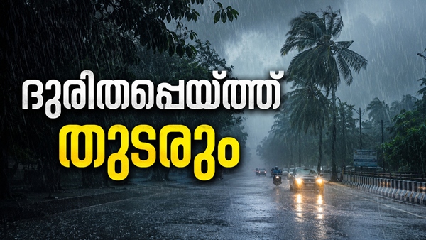 rain2-98801 rain2-98801