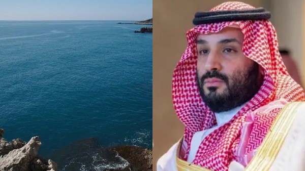 saudi arabia syria turkey new links