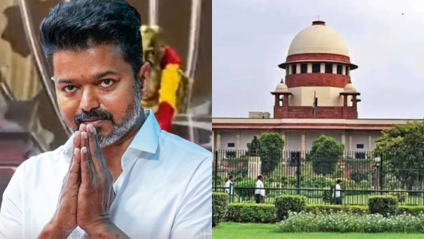 vijay vijay