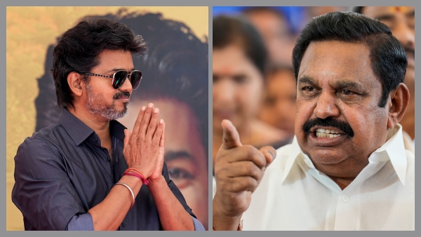 vijay vijay