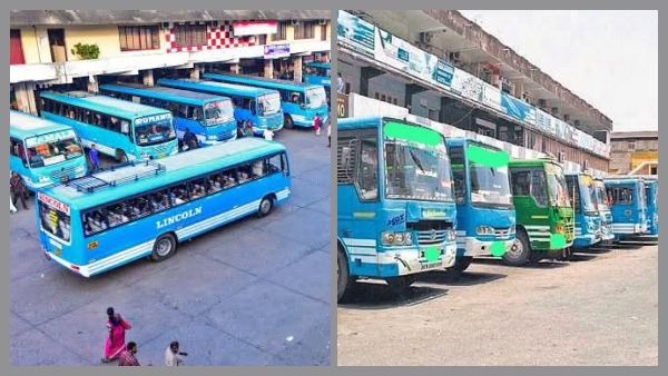 Bus Bus