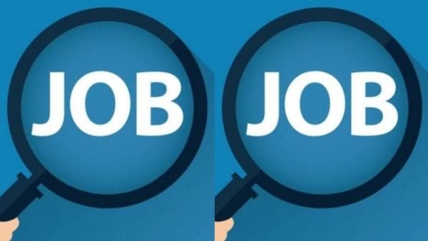 jobnews-50 jobnews-50
