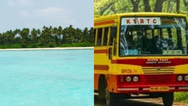 srtc-63421788959548 jpg