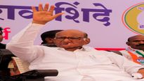 विधानसभेसाठी शरद पवारांचा 'गेम' ठरला, हे तरुण चेहरे मैदानात