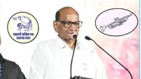 लोकसभेत फटका! पण विधानसभेला होणार फायदा शरद पवारांना 'हा' मोठा दिलासा घ्या जाणून