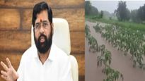 मुसळधार पावसामुळे झालेल्या नुकसानाचे ताबडतोब पंचनामे करा - मुख्यमंत्री एकनाथ शिंदे