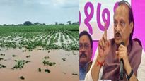 पिकविमा कंपन्यांकडून शेतकऱ्यांना योग्य भरपाई देण्यासाठी सरकार कठोर भूमिका घेणार- अजित पवार