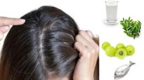 How To Stop Gray Hair : कमी वयात पांढरे झालेले थांबवायचे असेल तर या 8 गोष्टी खाणे सुरू करा