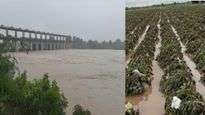 मराठवाड्यात पावसाचा धुमाकूळ, अतिवृष्टीमुळे 2 लाख हेक्टरपेक्षा अधिक क्षेत्र बाधित