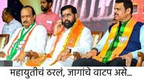 महायुतीचं ठरलं! भाजप, शिवसेना अन् एनसीपीमध्ये कुणाच्या वाट्याला किती जागा, वाचा सविस्तर 