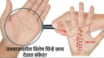 तळहातावरुन तुमचे भविष्य कसे जाणून घेणार, हातांच्या रेषा काय सांगतात, कसा करतात अभ्यास, वाचा सर्वच 