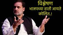 निवडणुकीआधी भाजपच्या हाती आयते कोलित! राहुल गांधींच्या विधानाचा MVA ला फटका बसेल का? वाचा विश्लेषण