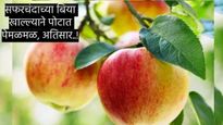 Health News : सफरचंद खाल्ल्याने होऊ शकतो मृत्यू! आजिबात करु नका 'ही' चूक