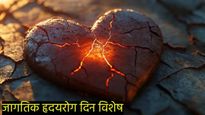 World Heart Day 2024 : हार्ट अटॅकनंतर किती वेळानंतर शारीरिक संबंध ठेवावेत? 'या' खास 7 टीप्स