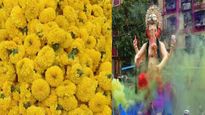 गणपती बाप्पाच्या आगमनाने फूल बाजार बहरला, 'या' फुलाला मिळाला सर्वाधिक भाव