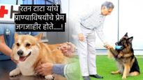 Ratan Tata : रतन टाटांनी त्यांच्या लाडक्या श्वानासाठी नाकारलं होतं प्रिन्स चार्ल्स यांचं आमंत्रण! 