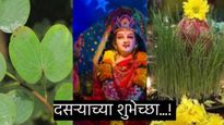 Dasara Wishesh : दसऱ्यानिमित्त आपल्या नातेवाईक, मित्र आणि प्रियजनांना खास मराठीतून शुभेच्छा पाठवा 