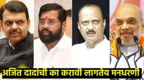 अमित शहा अन् एकनाथ शिंदेंची बंद दाराआड चर्चा; काय दिलं आश्वासन, दादा-फडणवीस बाहेर का? 