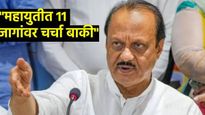 मोठी बातमी! महायुतीत 278 पैकी 11 जागांवर घोडं अडलं! अजित पवारांनी पत्रकार परिषदेत स्पष्टच सांगितलं