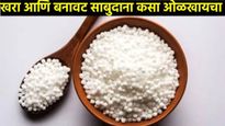 Navratri 2024 : नवरात्रीत उपवास धरलाय, तुम्ही नकली साबुदाना खात नाही ना? असा ओळखा खोटा अन् खरा 