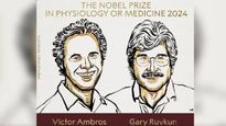 Nobel Prize 2024 : व्हिक्टर ॲम्ब्रोस आणि गॅरी रुवकुन यांना वैद्यकशास्त्रातील नोबेल पारितोषिक!