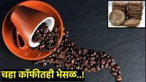 जयपूरमध्ये आढळला गाईच्या शेणाची भेसळयुक्त चहा आणि कॉफी! ,पिण्यापूर्वी खरी की खोटी ओळखायची? वाचा