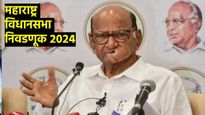Maharashtra Assembly Election 2024 :हे 11 नेते पकडतील शरद पवारांचा हात; महायुतीला धक्क्यामागून धक्के