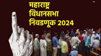 विधानसभा निवडणुकीसाठी एकूण किती मतदार? महिला, पुरुष, तृतीयपंथी किती, शंभरी ओलंडलेले इतके मतदार, वाचा