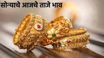 Gold Rate Today :दिवाळीपूर्वी सोनं 80 हजारांच्या जवळ! जाणून घ्या तुमच्या शहरात 22 कॅरेट सोन्याचे दर