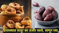 भिजवलेले अंजीर की खजूर काय आहे फायदेशीर; आरोग्यासाठी कोणते चांगले, जाणून घ्या- फायदे अन् तोटे 