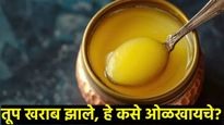 देशी तुपालाही एक्स्पायरी डेट असते का? ते जास्त काळ कसे स्टोअर करायचे, असे ओळखा खराब तूप 