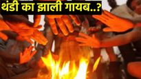 हिवाळ्यात जाणवतेय गर्मी! ...म्हणून नोव्हेंबरमध्ये थंडी नाहीच,  'हे' आहे सर्वात मोठे कारण, वाचा