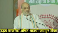 संकल्पपत्रात शेतकऱ्यांसाठी भाजपचा मेगा प्लान! भावांतर योजना आणणार..एका क्लिकवर समजून घ्या जाहीरनामा
