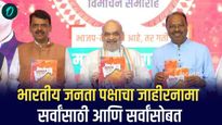 भारतीय जनता पक्षाचा जाहीरनामा; सर्वांसाठी आणि सर्वांसोबत 