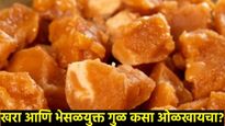 अजमेरमध्ये 9 हजार किलो बनावट गूळ जप्त! खरेदीवेळी होऊ शकते फसवणूक, वाचा भेसळयुक्त गूळ खाण्याचे नुकसान
