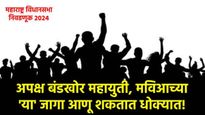 'हे' अपक्ष, बंडखोर अन् छोट्या पक्षांचे उमेदवार धोक्यात आणू शकतात मविआ महायुतीच्या जागा, वाचा यादी