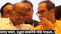 दगाफटका करणार नाही! उमेदवारांकडून निकालापूर्वी उद्धव ठाकरे, शरद पवारांनी घेतले प्रतिज्ञापत्र  