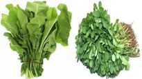 Palak vs Methi: पालक की मेथी, हिवाळ्यात कोणती भाजी तुमच्या आरोग्यासाठी चांगली, घ्या जाणून